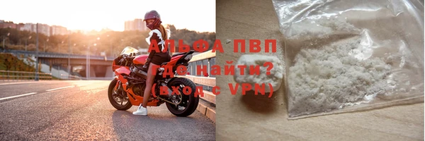 PSILOCYBIN Гусев