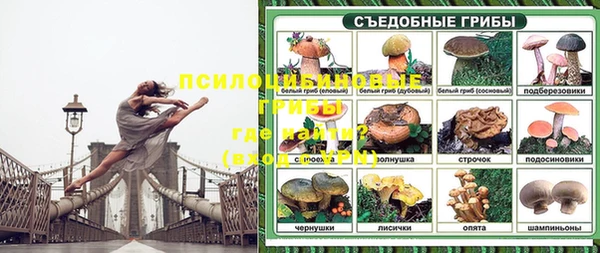 PSILOCYBIN Гусев