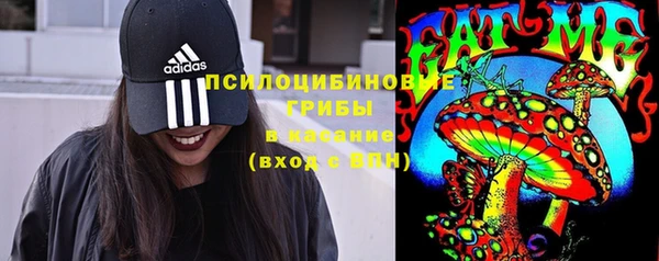 apvp Гусь-Хрустальный