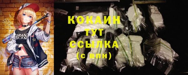 PSILOCYBIN Гусев