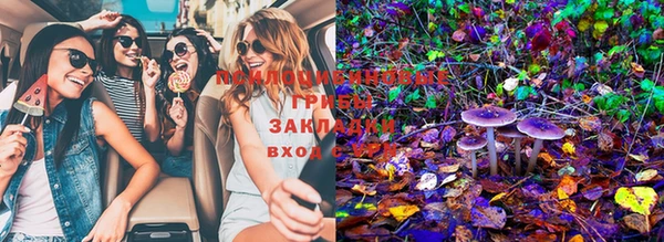 ECSTASY Гусиноозёрск