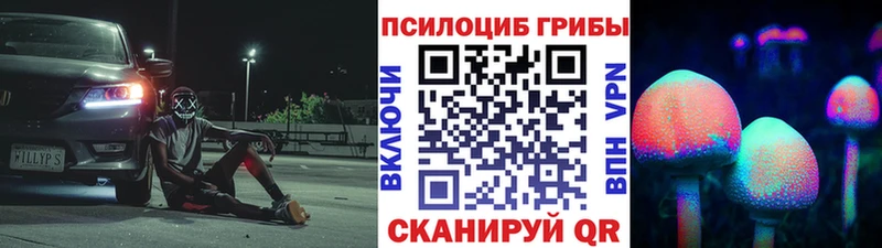 Купить где  Кириллов  Псилоцибиновые грибы Psilocybe 