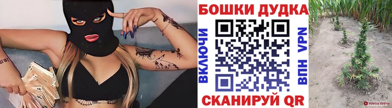 Каннабис ГИДРОПОН  Купить где  Кириллов 